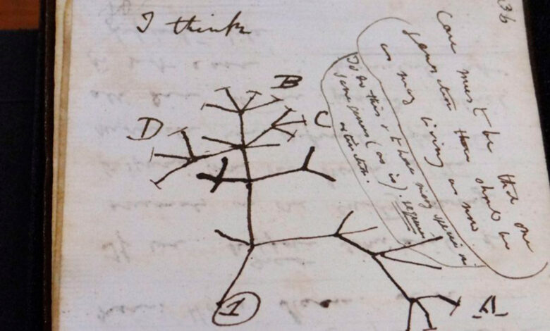 Después de 20 año, devuelven cuadernos robados de Charles Darwin