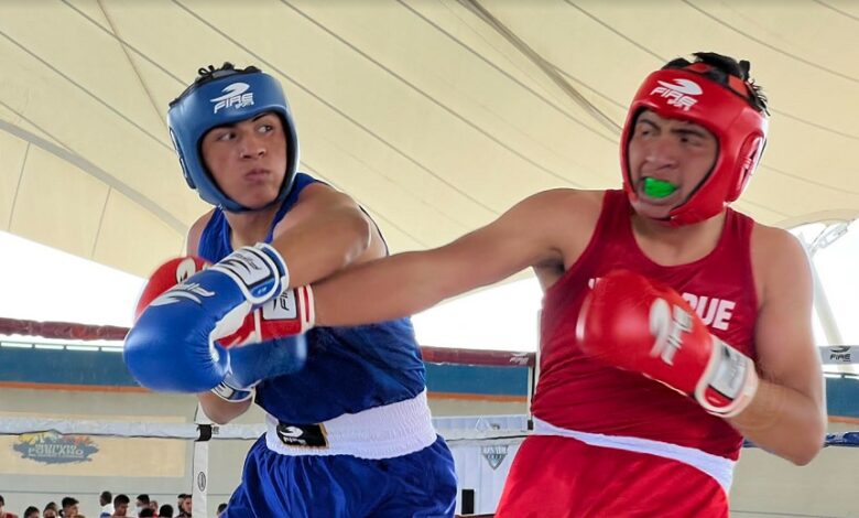 Definida la Selección Veracruzana de Boxeo para los Juegos Conade