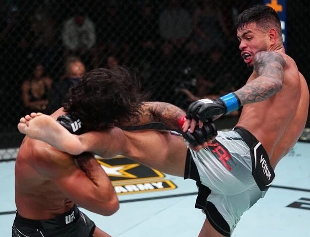 Aficionados protagonizan riña en UFC México