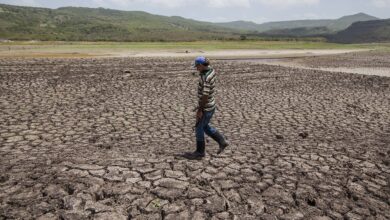 Sequía y desertificación ponen en riesgo a todos los ecosistemas