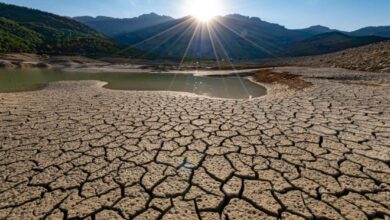 Futuras sequías podrían ser más largas de lo previsto, advierte estudio de Natura